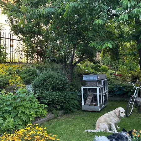 Lägenhet Nad Potokiem Mieroszow